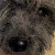 :iconseban001: