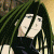 :iconsebastian1414: