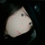:iconsebastian510: