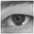:iconsebsn:
