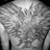 :iconsecislaw: