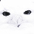 :iconsecondarywhite: