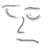 :iconsecondplayer: