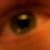 :iconsecproto: