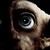 :iconsecret-alice: