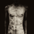 :iconsecret-asylum: