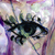 :iconsecret-comix: