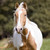 :iconsecretariat7: