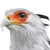 :iconsecretarybirdplz: