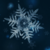 :iconsecretdisaster7: