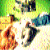 :iconsecretellie: