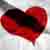 :iconsecretforlife: