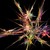 SecretIndulgences :iconsecretindulgences: