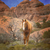 :iconsecretkeeperofhorses: