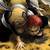 :iconsecretmyth: