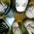 :iconsecretorganization: