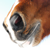 :iconsecretrider:
