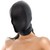 :iconsecretrobot2006: