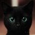 :iconsecretsinnocentgirl: