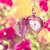 :iconsecretsofshadow: