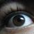 :iconsect1251: