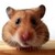 :iconsecurity-mind: