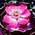 :iconSediaPortraits: