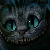 :iconsedna-13: