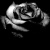 :iconsedriss6: