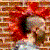 :iconseducer: