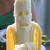 :iconseductive-squid: