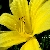 :iconsee-her: