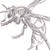 :iconseeingonyx: