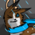 :iconseekedrandom:
