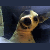 :iconseeker783: