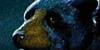 group avatar