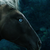 seeknsnazzy :iconseeknsnazzy: