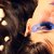 :iconseelenglas: