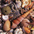:iconseeshells: