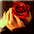:iconseewhatisee: