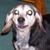 Seff-is-my-lover :iconseff-is-my-lover: