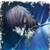 :iconsegmakun: