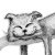:iconsegum: