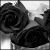 :iconsehenry07: