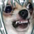 :iconseiewwplz: