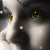 :iconseikojin: