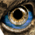 :iconseisman: