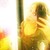 :iconseithr44: