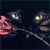 :iconsel-barton: