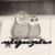 :iconselagonzales: